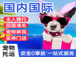 临沂机场快递国际宠物托运 【国